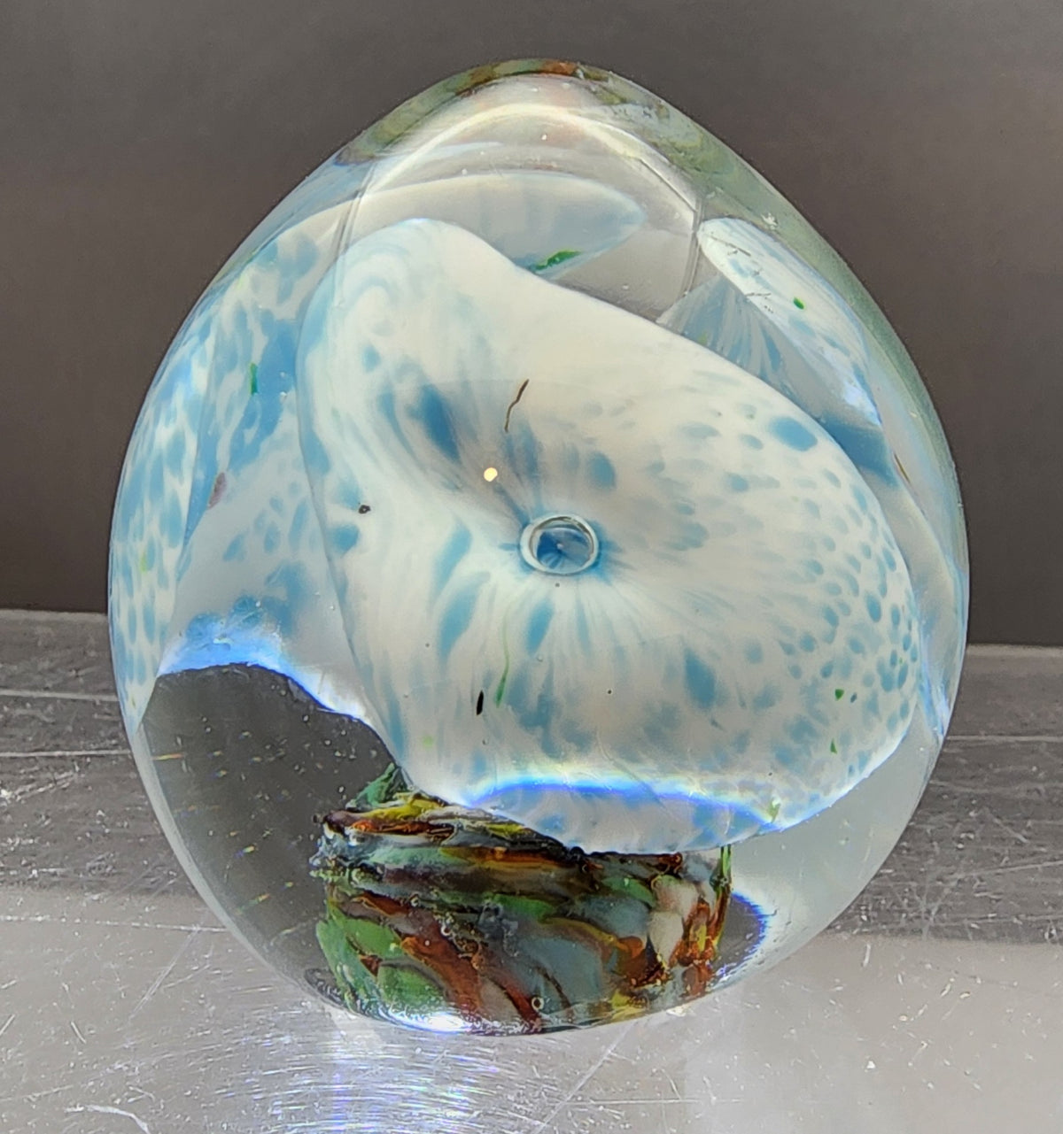 Art glass paperweight Elephant ear