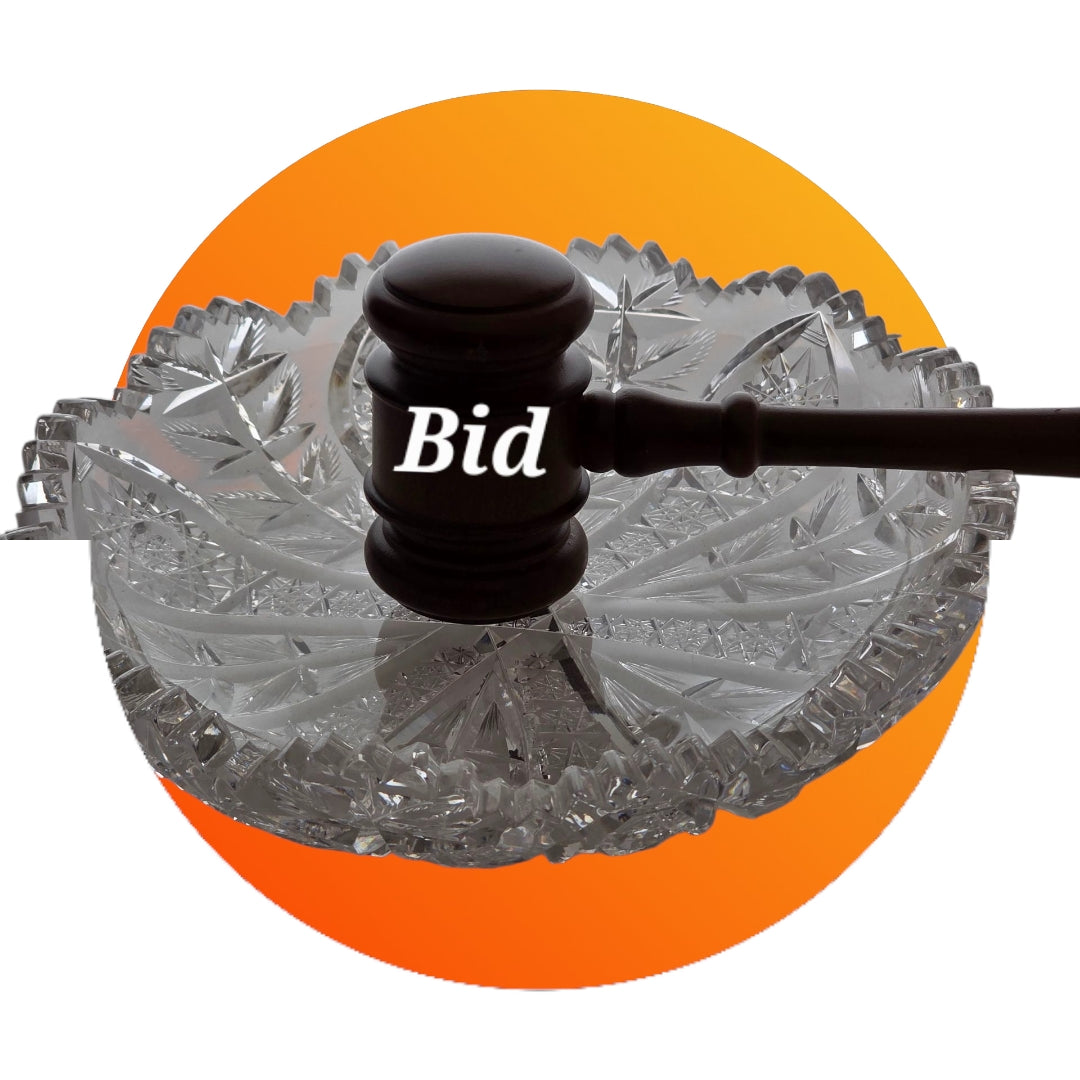 Auction Bids