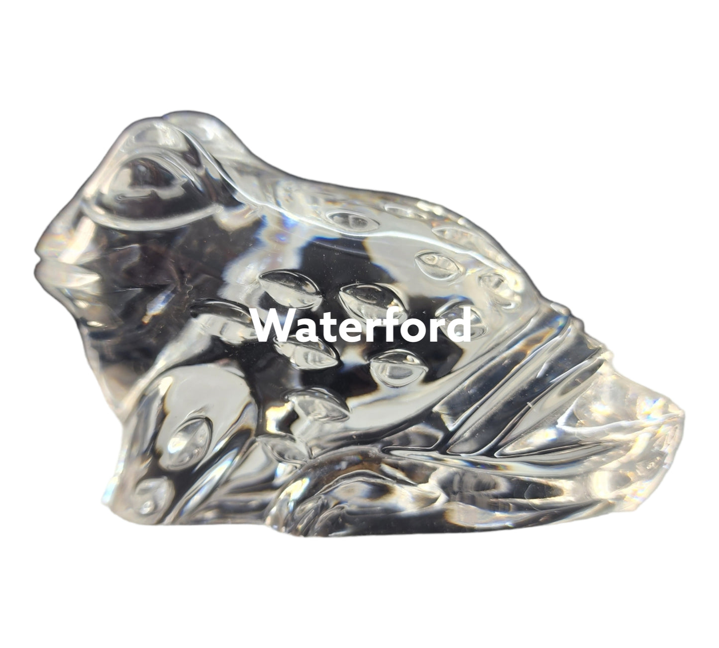 Signed Waterford crystal frog paperweight
