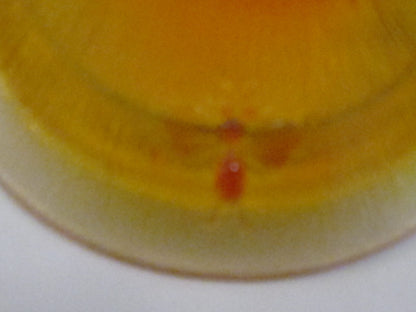 Glass lid Replacement bee orange amber honey